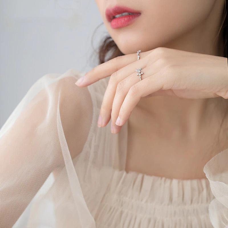 Zirkonringe mit den 12 Sternbildern und Sternzeichen