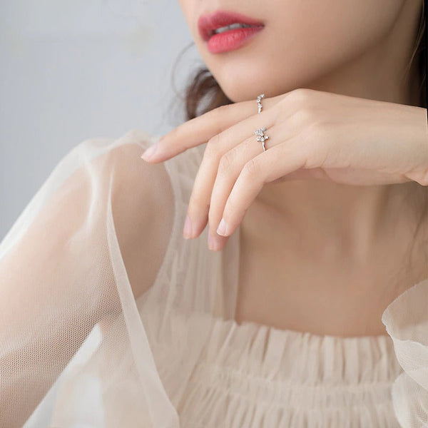 Zirkonringe mit den 12 Sternbildern und Sternzeichen