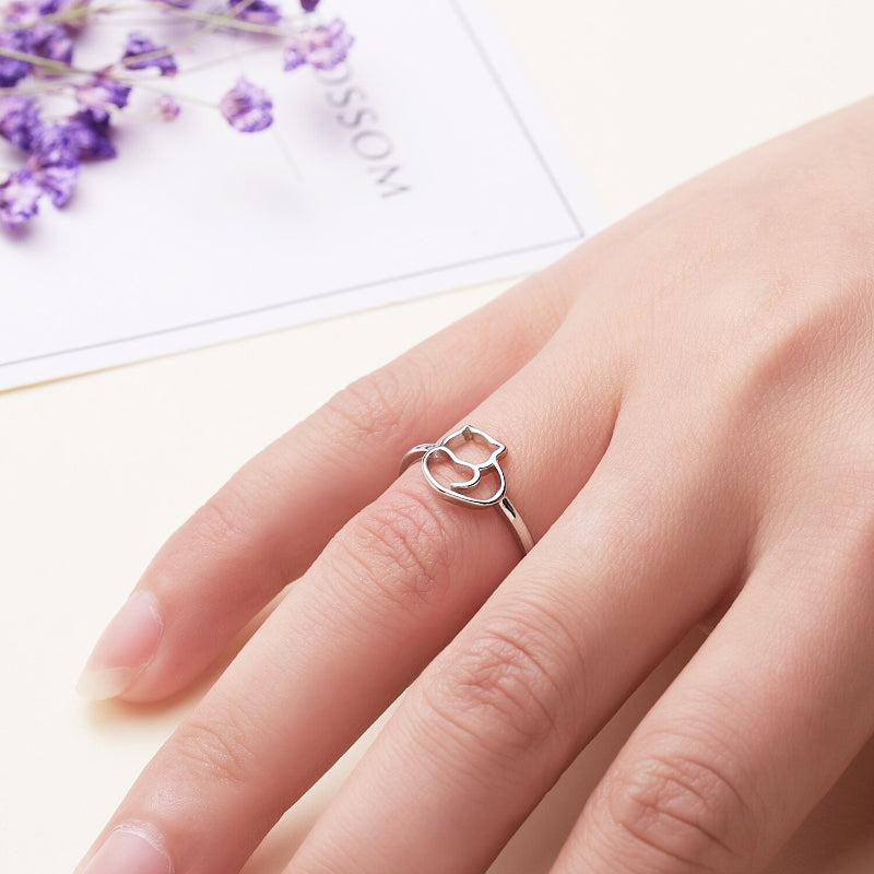 Lustiger und perfekter Katzenring