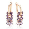 Ameythst Perennial Optics Roségoldene Ohrringe mit Zirkoniasteinen