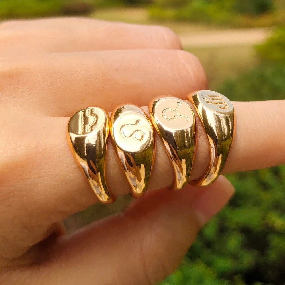 Minimalistische Ringe mit den 12 Sternbildern und Sternzeichen