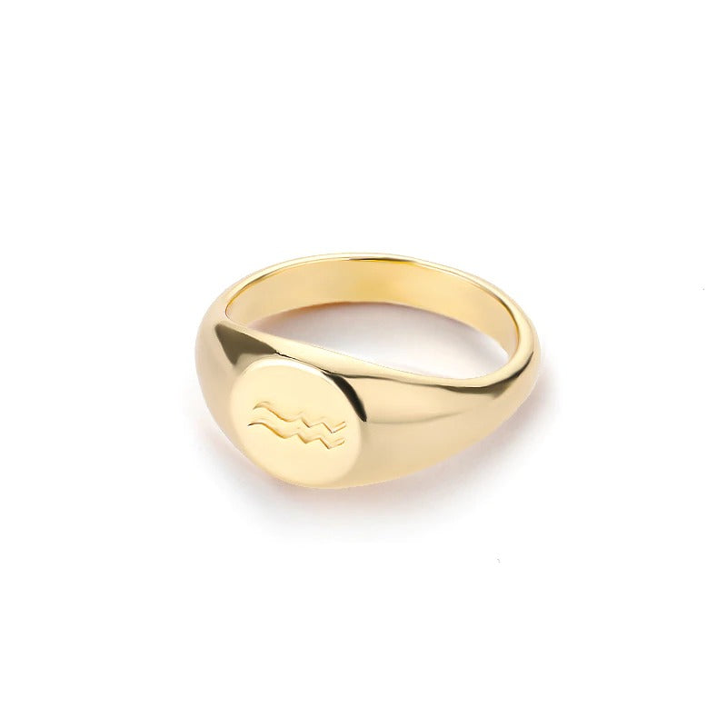 Minimalistische Ringe mit den 12 Sternbildern und Sternzeichen
