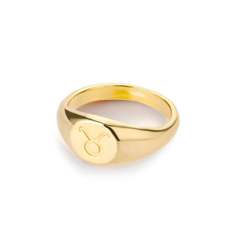 Minimalistische Ringe mit den 12 Sternbildern und Sternzeichen