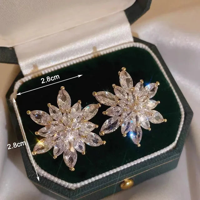 Funkelnde Ohrringe in Silber mit glänzenden Zirkoniasteinen