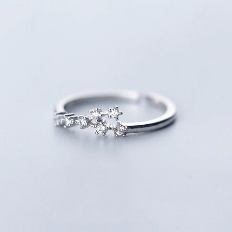 12 Sternbilanzszeichen Zirkonringe