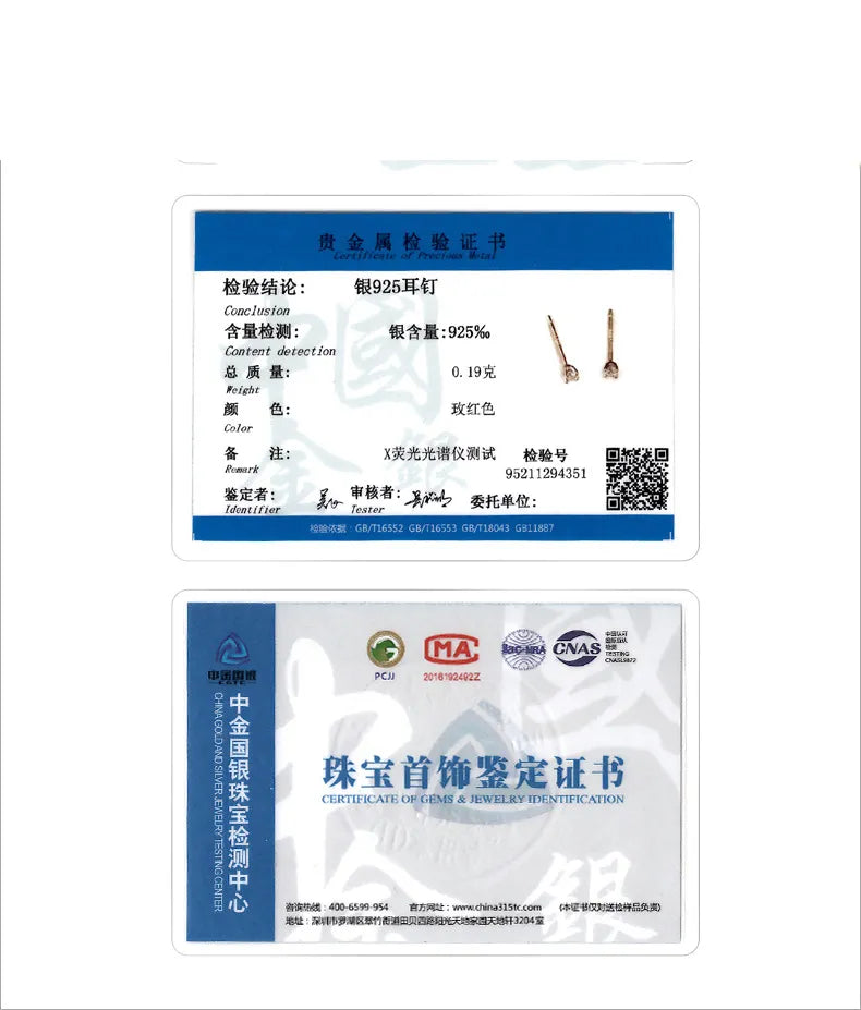 Moderne Zirkon Ohrstecker aus 925er Sterlingsilber für Frauen