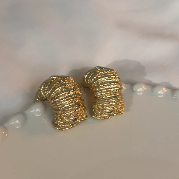 Moderne Schmuck 925 Silber Nadel Hiphop Cooler Stil Metallische geometrische Ohrringe für Frauen Mädchen Geschenk Heißer Verkauf Beliebtes Zubehör