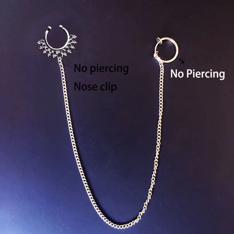 Ausdrücke Nasenring