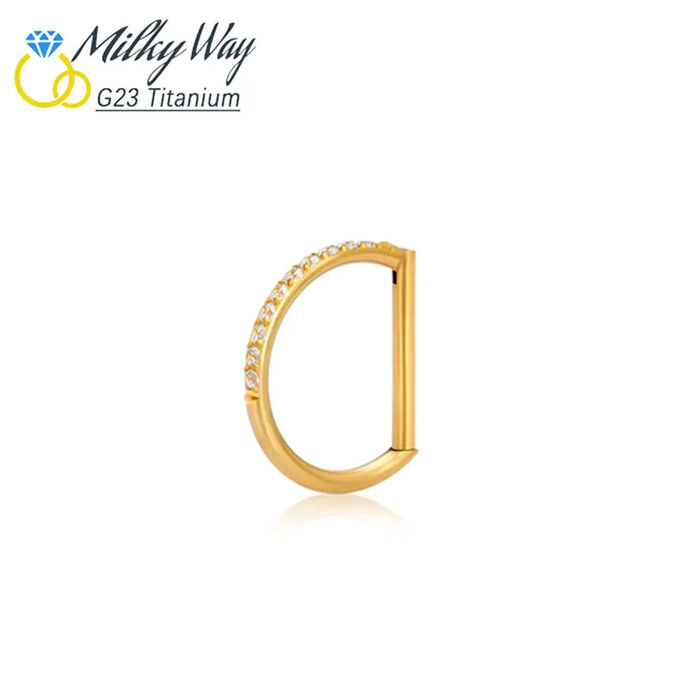 Titan-D-Ring-Set, Zirkon-Nasenring, Hip-Hop-Ohrring, Clicker-Helix