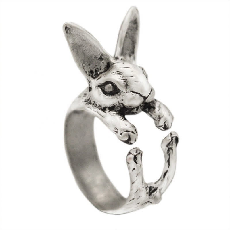 Netter Peter Rabbit Bunny Tierring