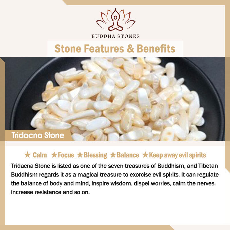 Chavri 14K vergoldetes schwarzes Spinell-weißes Kristall-Heilarmband mit süßer Katze aus Tridacna-Stein